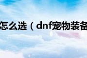  dnf粉宠物装备怎么获得,DNF什么地方出粉色的宠物装备？